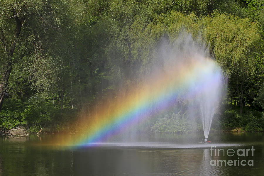Rainbow Photograph by Teresa Zieba