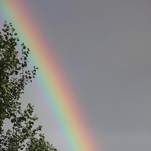 Rainbow Photograph by Unique Louise
