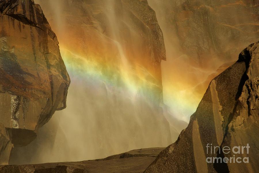 Rainbow Vision Photograph by Adam Jewell