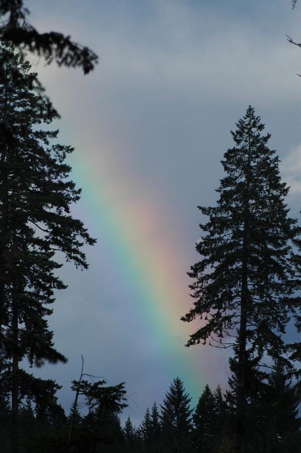 Rainbow Photograph by Wanda Jesfield