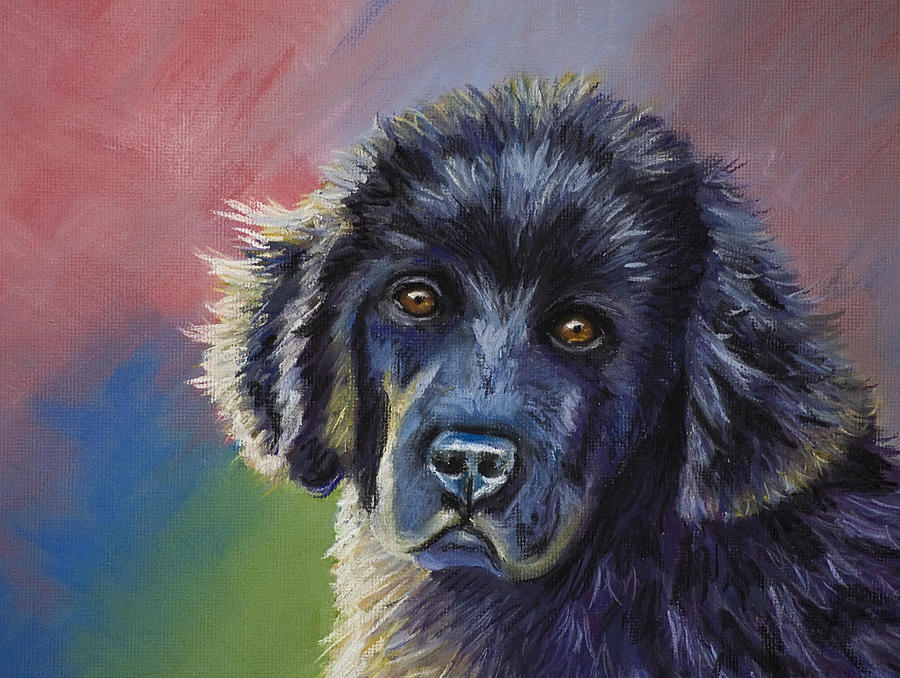 Dog Drawing - Rainbows and Sunshine - Newfoundland Puppy by Michelle Wrighton