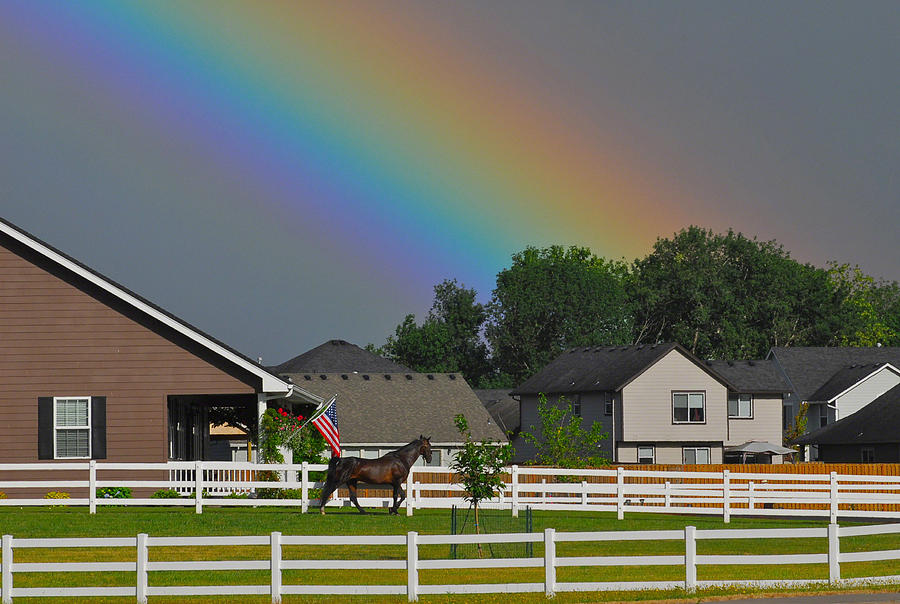 Rainbows And Unicorns Photograph