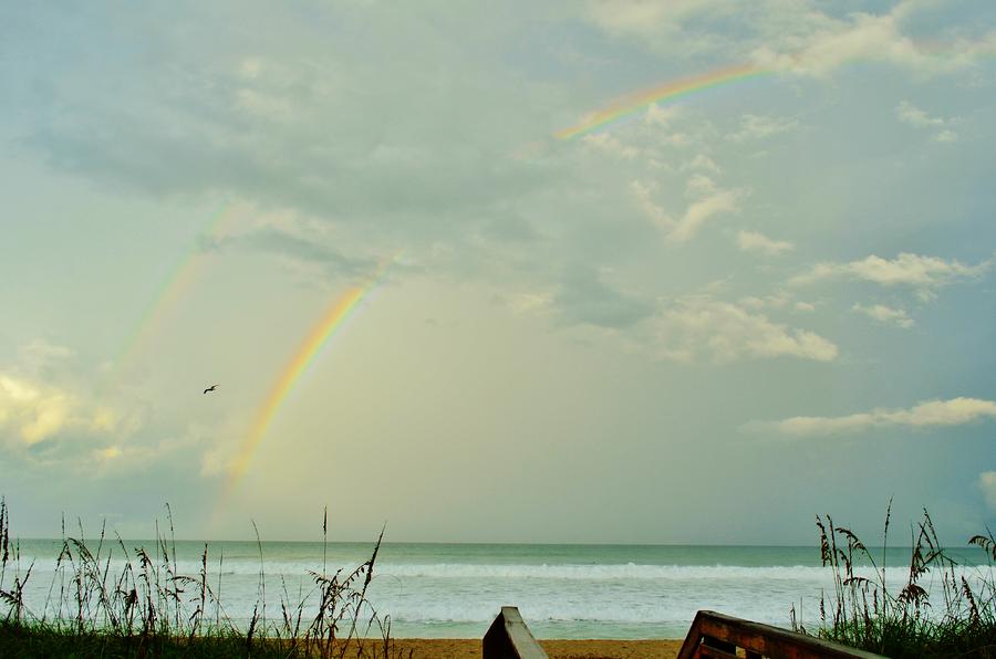 Rainbows Too Photograph by Lynda Dawson-Youngclaus