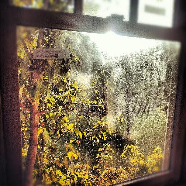 Raindrops Falling On My Window Photograph by Aspen Wright