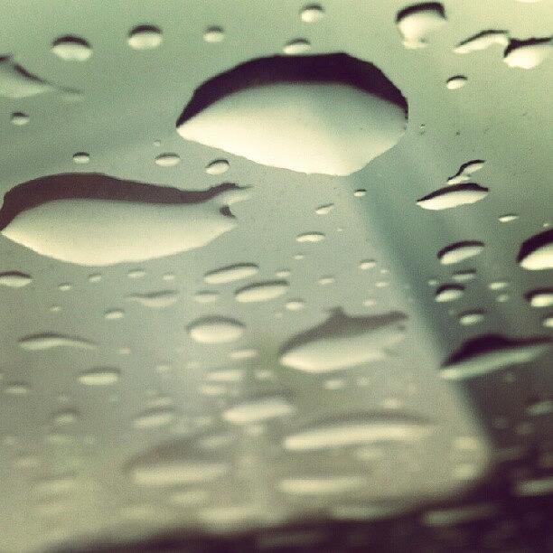 Raindrops On The Window Photograph by Teresa Mork