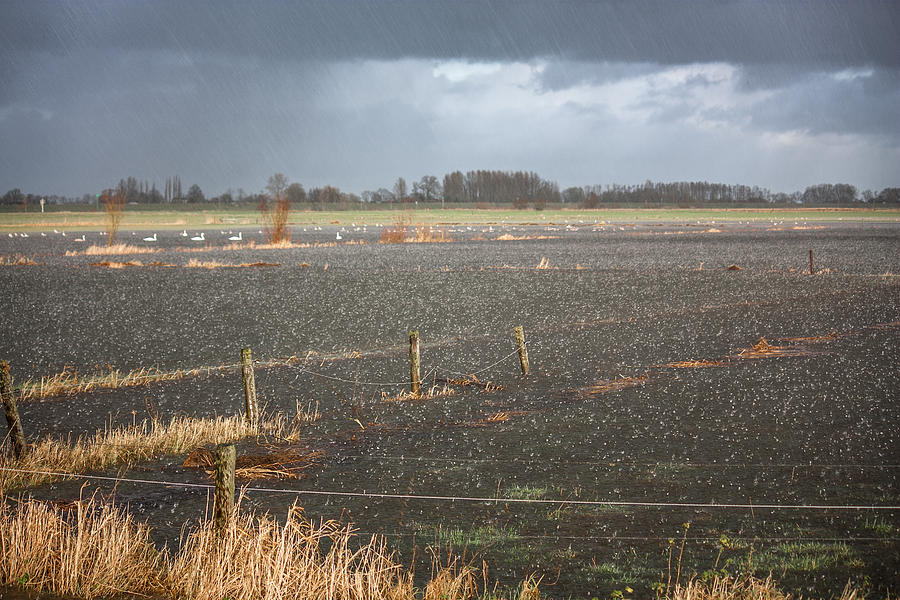 Rainfall Photograph by Semmick Photo
