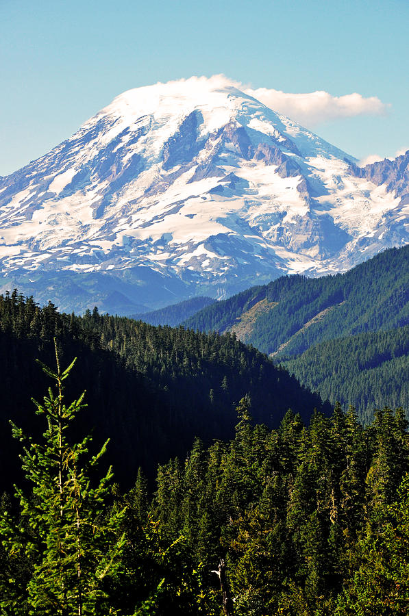 Rainier Photograph by Anna Quillon - Fine Art America