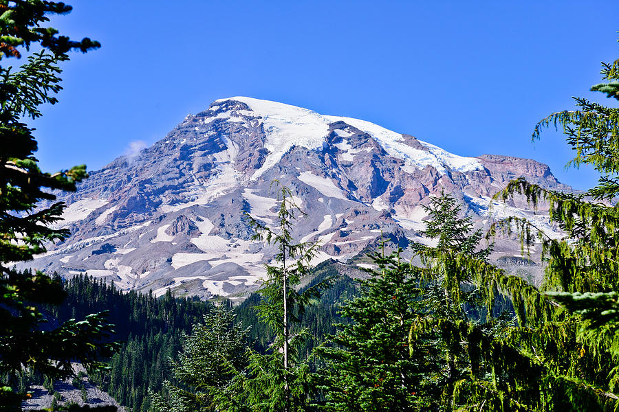 Mount Rainier National Park Photograph - Rainier in the Afternoon by Greg Norrell