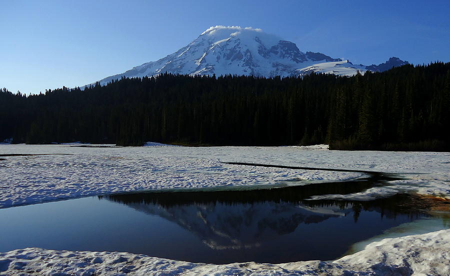 Rainier Reflected Photograph by Peter Mooyman