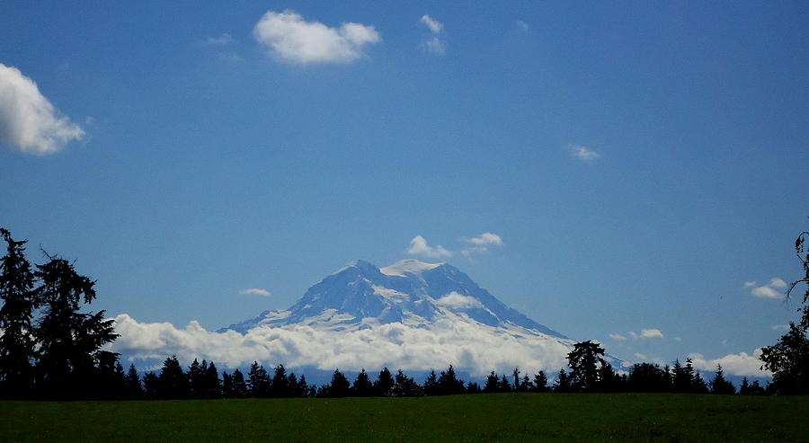 Rainier Showing Itself Photograph by Peter Mooyman