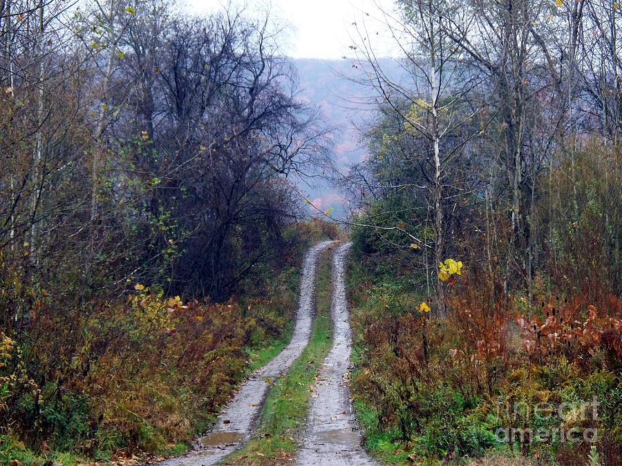 Rainy Country Lane Photograph by Christian Mattison - Fine Art America