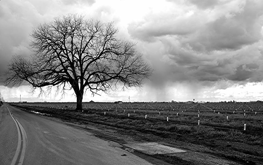 Rainy Day 2 Photograph by James Stodola - Fine Art America