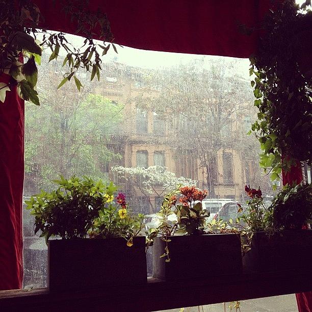 Rainy Day At Rosewater Photograph by Joey Maese