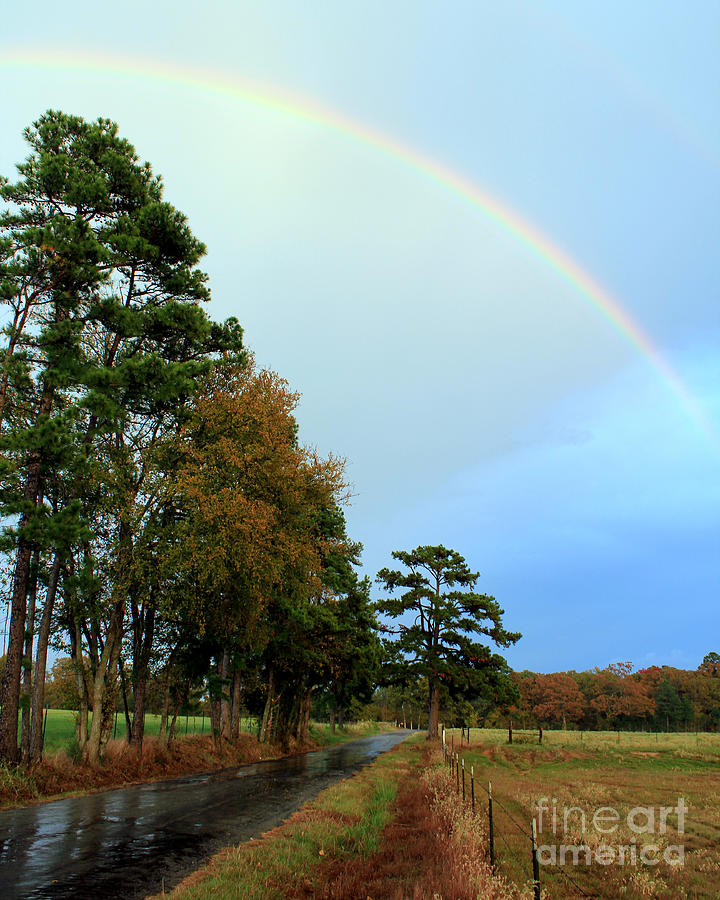 Rainy Day Rainbow Photograph by Kathy  White