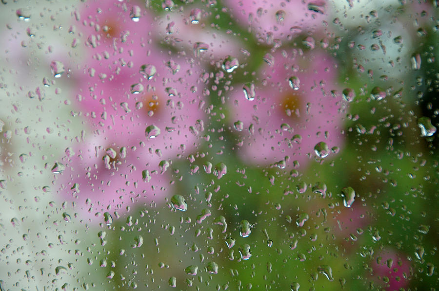 Rainy Day View Photograph by Cathy Kovarik