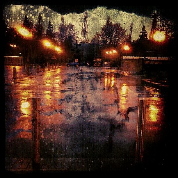 Tree Photograph - #rainy #evening At An Empty #carpark by Linandara Linandara