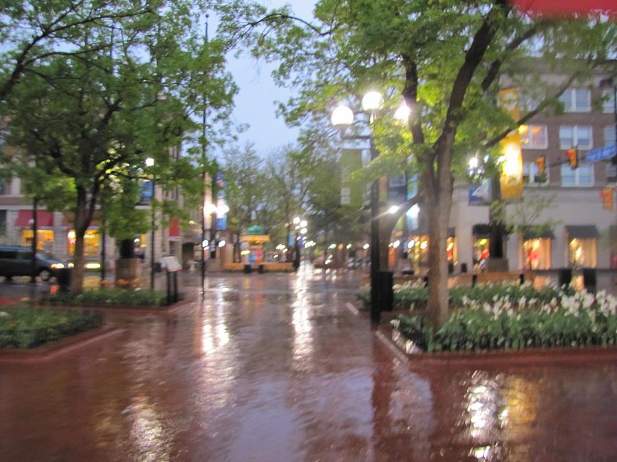 Rainy Evening in Boulder Photograph by Shawn Hughes