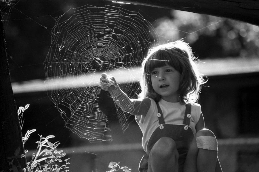 Raluca and the spiderweb II Photograph by Emanuel Tanjala