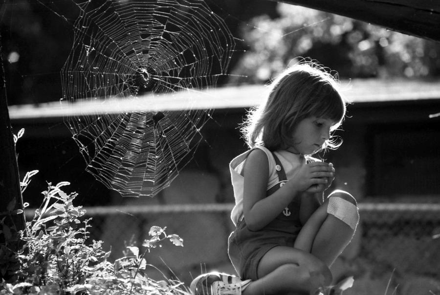 Raluca and the spiderweb IV Photograph by Emanuel Tanjala
