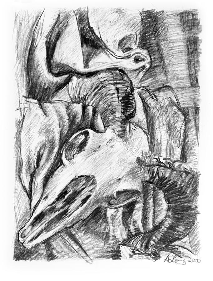 Ram skull still-life Drawing by Adam Long
