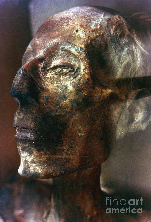 Ramses II (1292-1225 B.c.) Photograph by Granger