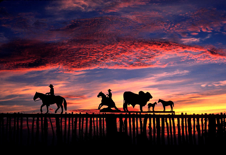 Texas Ranch Gate at Sunrise Photograph by David and Carol Kelly