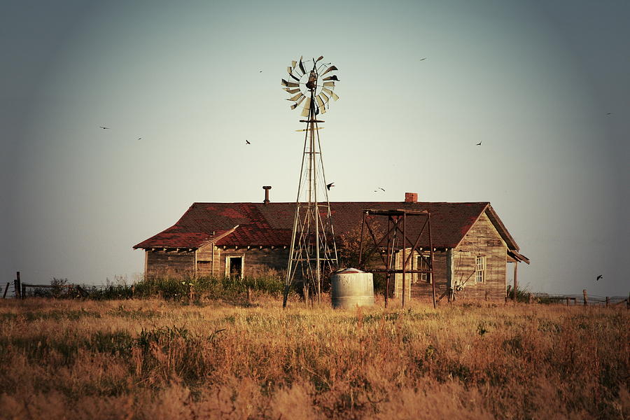 Ranch House Windmill Photograph by Lou Ann Horton