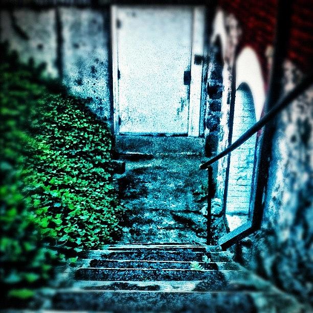 Summer Photograph - Random Stairs. Really Like The Moss by Daniel Larson