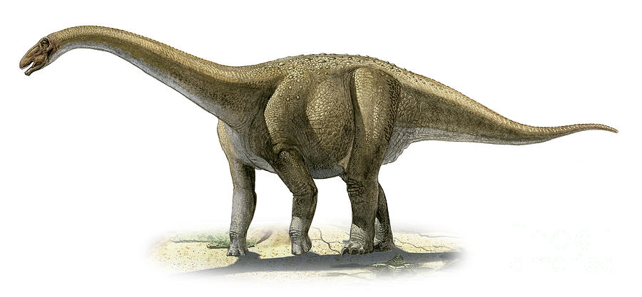 rapetosaurus-krausei-a-prehistoric-era-sergey-krasovskiy.jpg