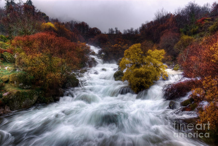 Fall Photograph - Rapid Waters by Carlos Caetano