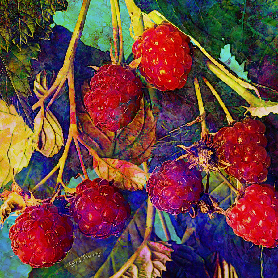 Raspberries Digital Art by Barbara Berney