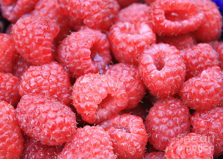 Raspberries Photograph by Carol Groenen