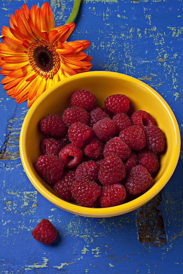 Raspberry Photograph - Raspberries in yellow bowl by Garry Gay