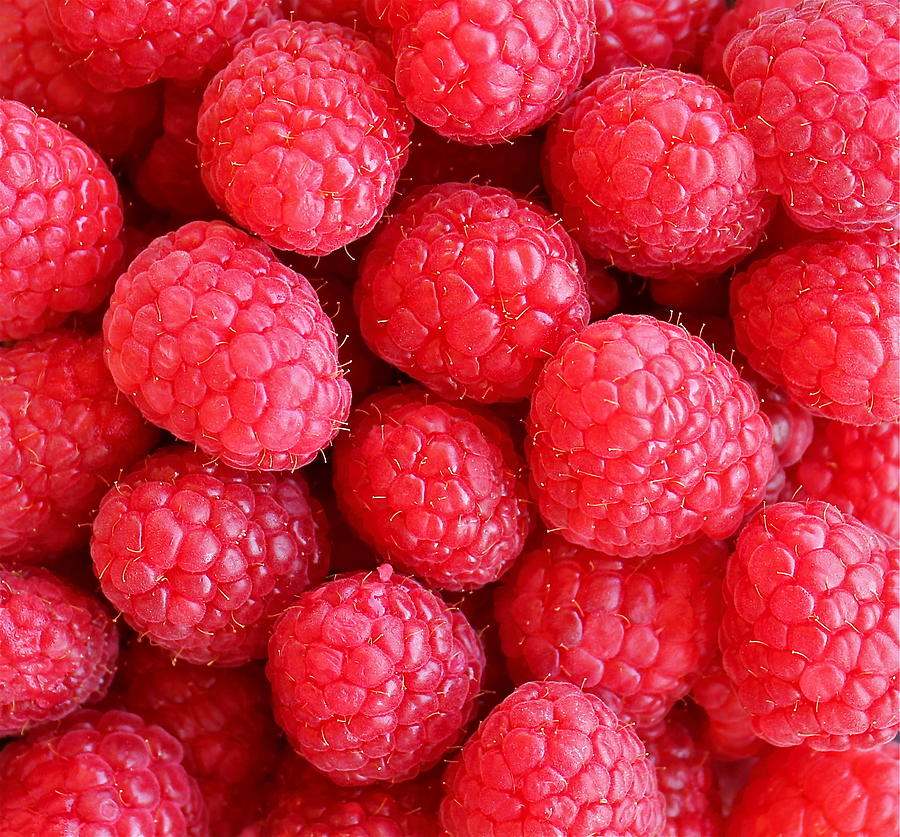 Raspberries Photograph by Kume Bryant