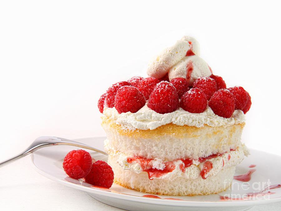 Cake Photograph - Raspberry and whip cream cupcakes on white  by Sandra Cunningham