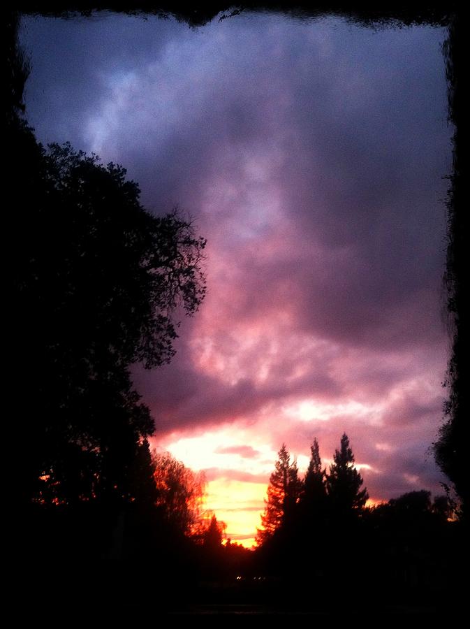 Sunset Photograph - Raspberry Sunset  by Dawn Marie Black