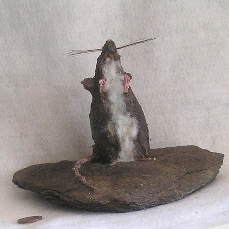 Rat on a Rock III Mixed Media by Roger Swezey