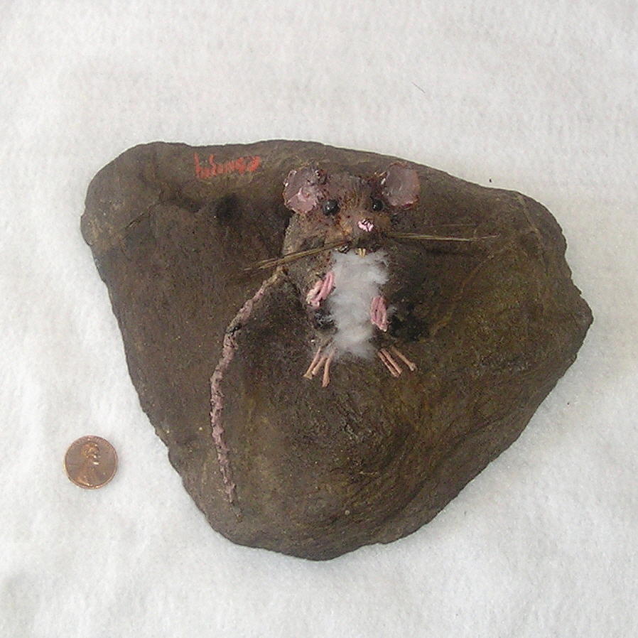 Rat on a Rock III top view Mixed Media by Roger Swezey