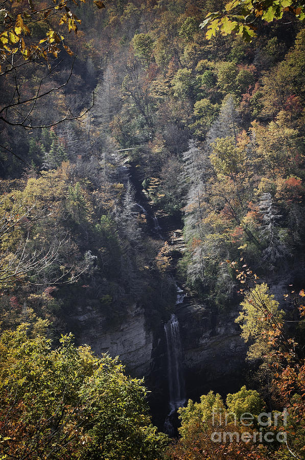 Raven Cliff Falls Photograph by David Waldrop