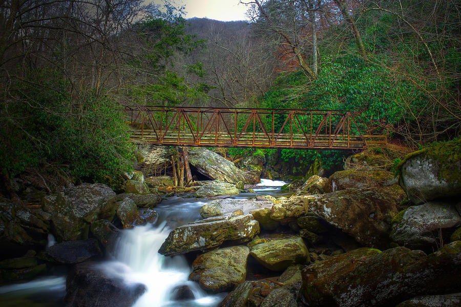 Great Smoky Mountains National Park: Raven Fork