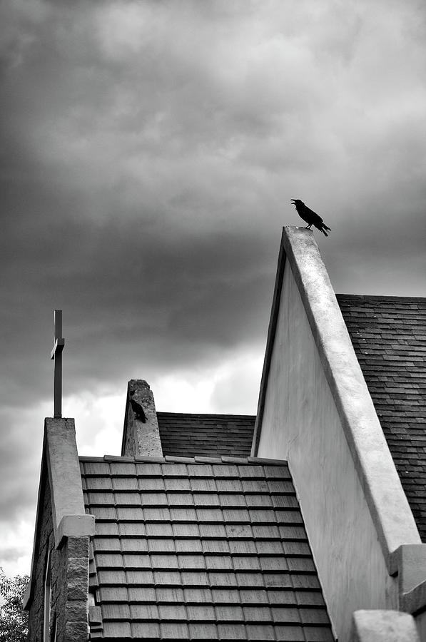 Raven on Church Photograph by James Bethanis