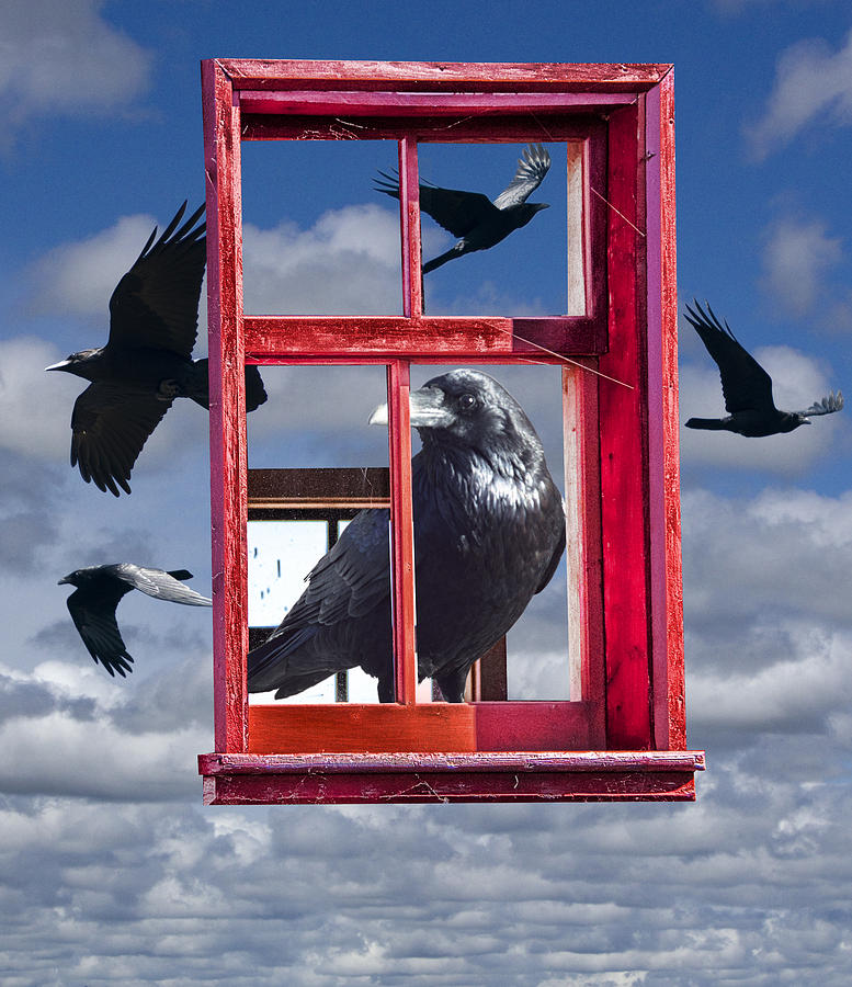 Ravens and the Red Window Photograph by Randall Nyhof