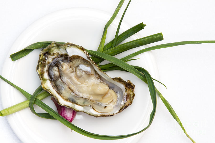 Raw Oyster Photograph