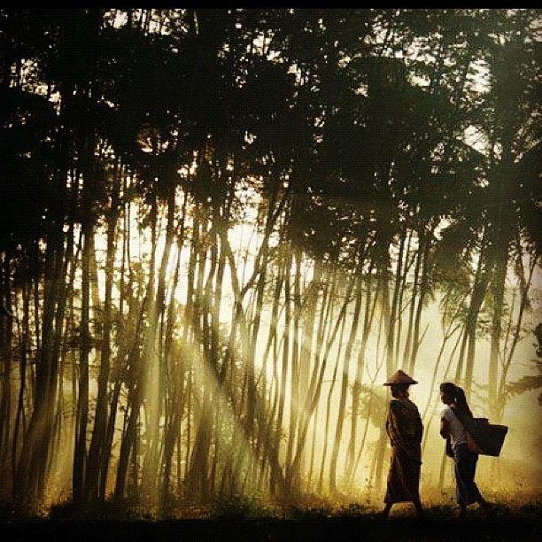 Sunset Photograph - Ray Of Light #instaiphone #indonesia by Nugroho Wahyu