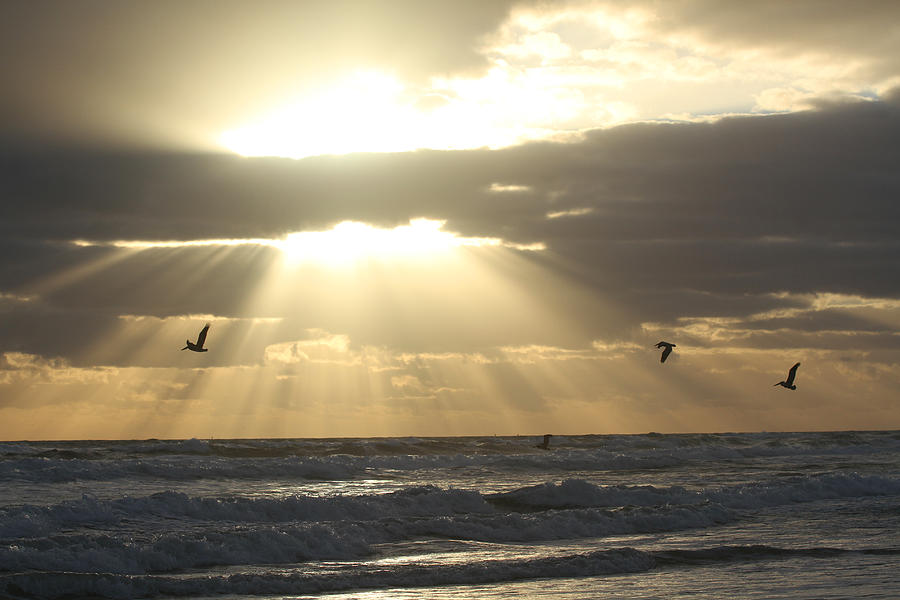 Beach Photograph - Ray of Light by Jose Rodriguez Beach Photograph - Ray of Light by Jose Rodriguez