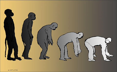 Re-Evolution Drawing by Janusz Kapusta