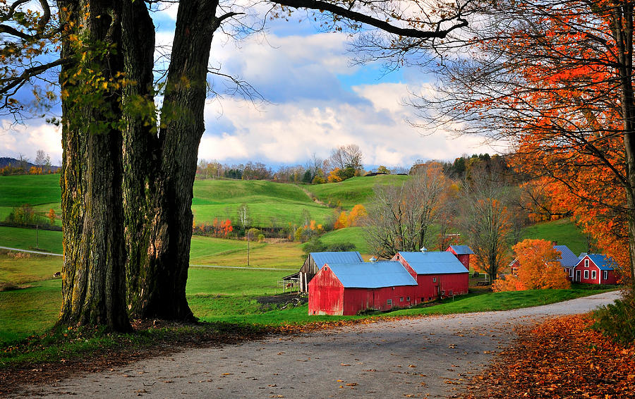 Reading Vermont - Jenne Road Photograph by Thomas Schoeller