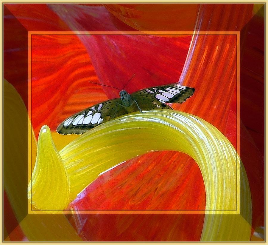 Butterfly Photograph - Ready For Take Off by Mindy Newman