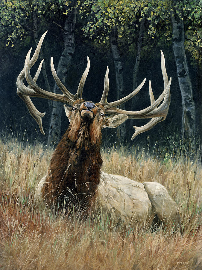 Ready for Trouble by Peter Eades Ready for Trouble by Peter Eades