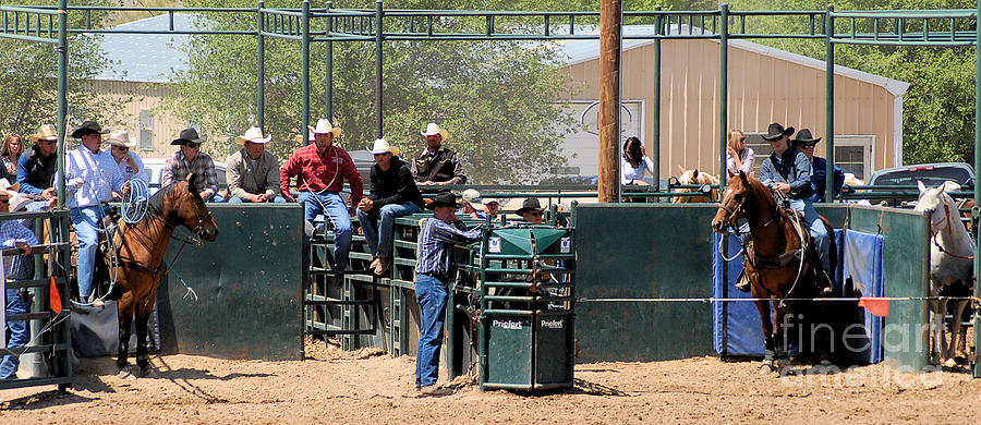 Ready Set Rodeo Ready-Set-Go Photograph by Cheryl Poland - Fine Art America